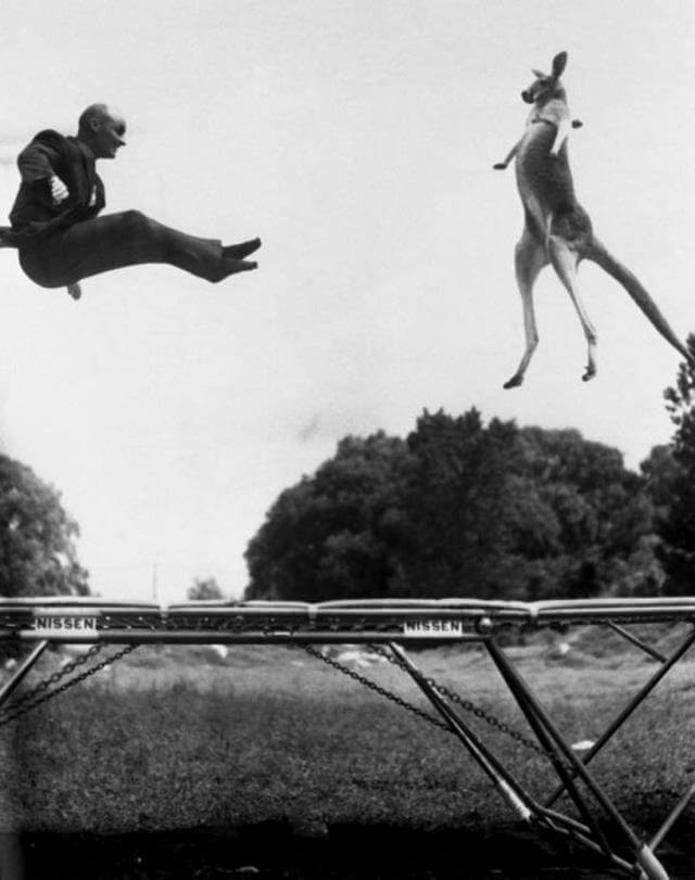 George Nissen and kangaroo Victoria, NYC 1936