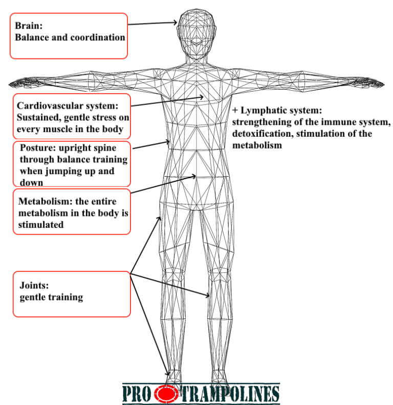 impact on human body when jumping on trampoline