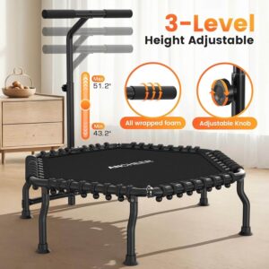 ANCHEER 50-inch hexagonal bungee rebounder with 3-level adjustable foam handlebar